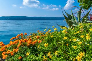 Foto: Bodensee